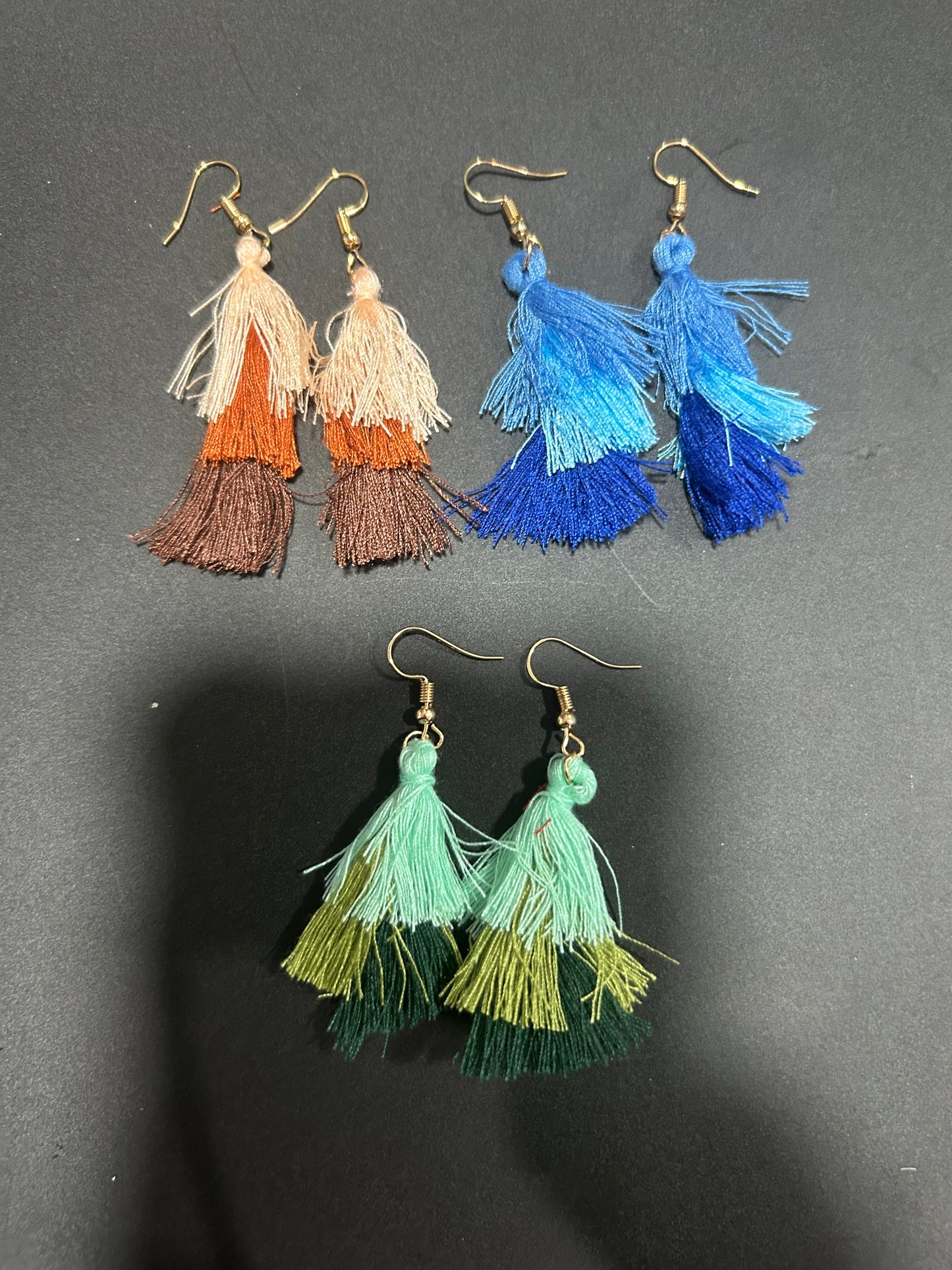 Ombré Fringe Earrings